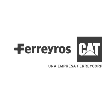 Cliente 15