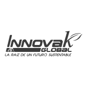 Cliente 6